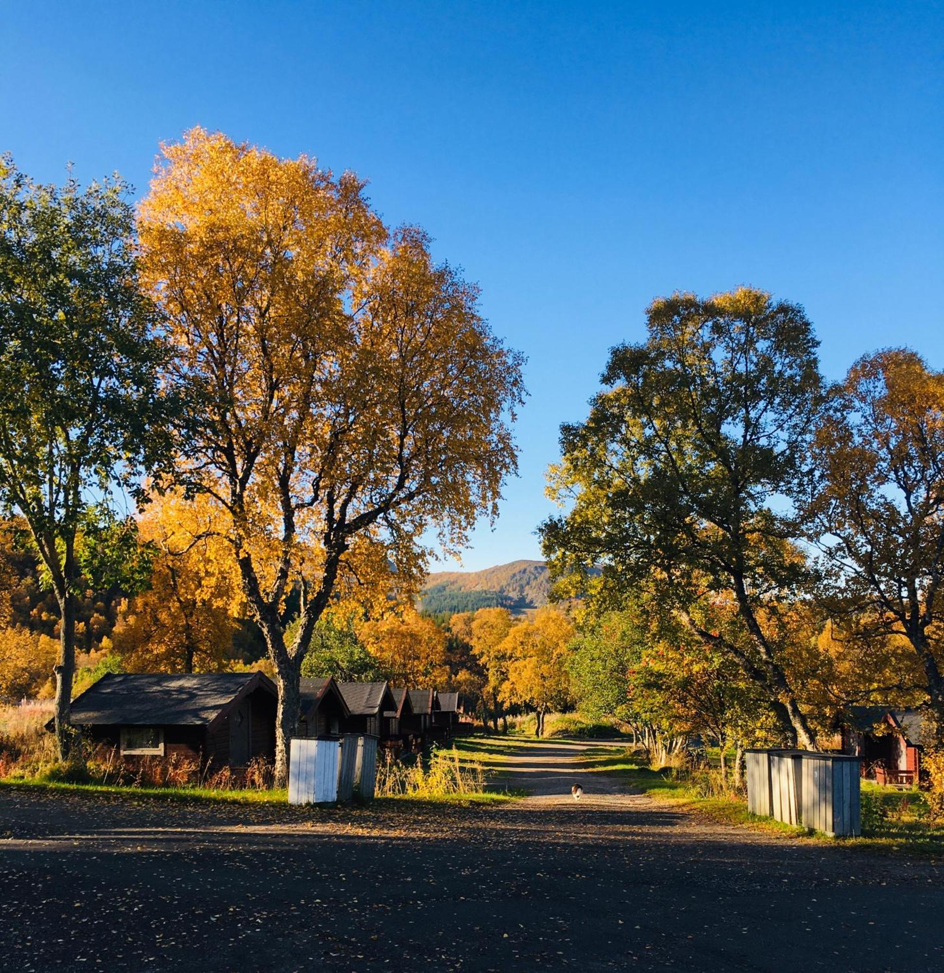 Sortland Camping Og Motell As Ngoại thất bức ảnh