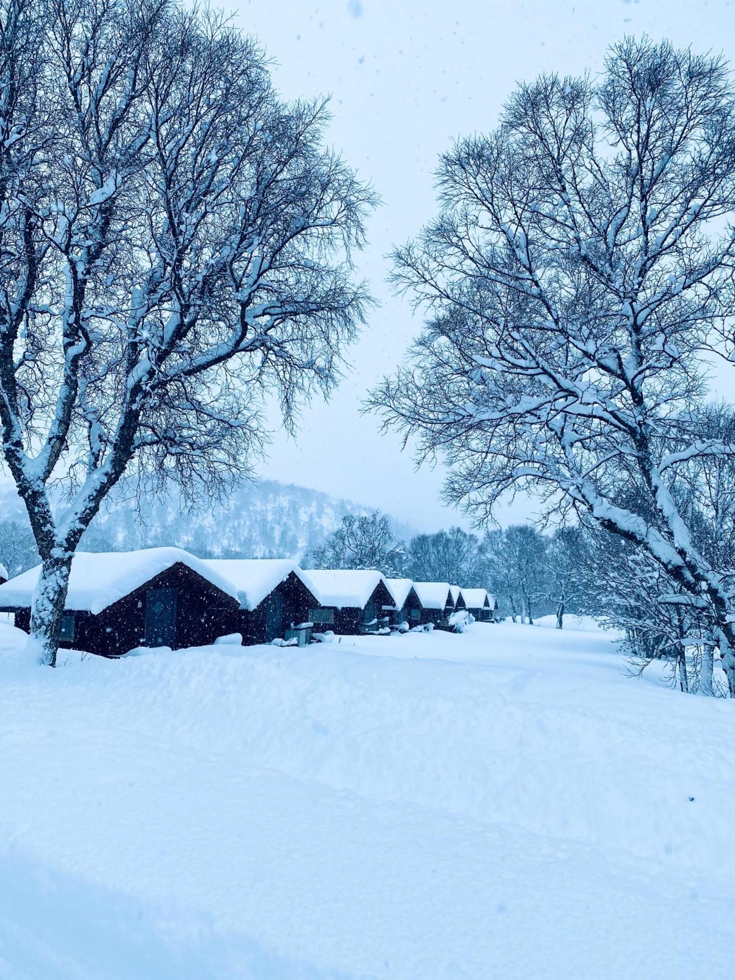 Sortland Camping Og Motell As Ngoại thất bức ảnh